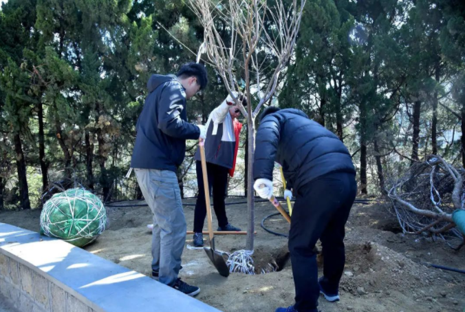 春風十里，植下一片綠 | 瑞源控股集團開展2023年植樹節(jié)系列活動