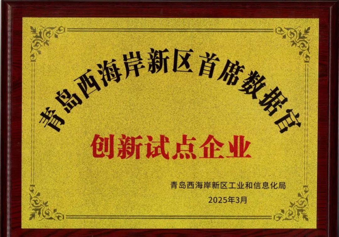 文達通股份入選新區(qū)首批首席數據官創(chuàng)新試點企業(yè)